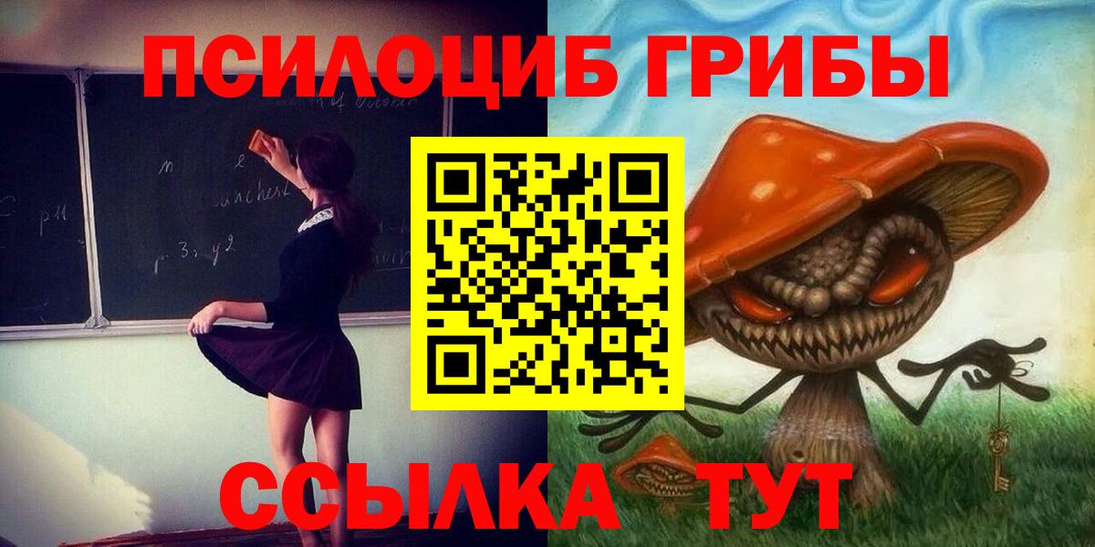 Псилоцибиновые грибы прущие грибы Тара