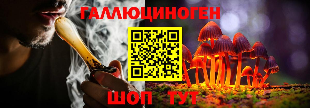 Бошки Шишки Тара