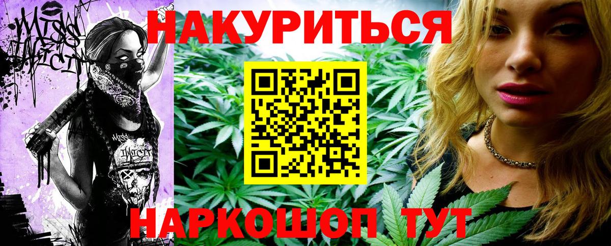 Каннабис планчик Тара